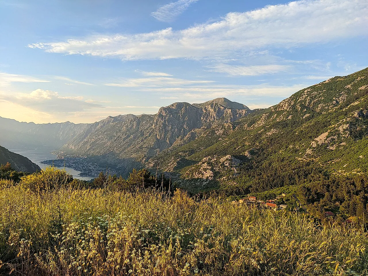 Eine Wiese mit hohem Gras am Lovćen, tief unten das Tal und die Bucht von Kotor im goldenen Licht