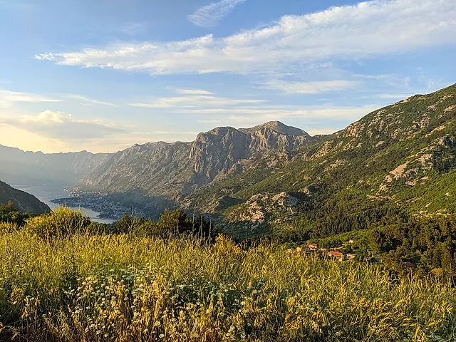 A meadow of tall grass on Mount Lovćen, with the valley and the Bay of Kotor far below in golden light