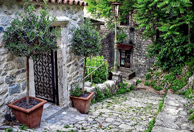Eine Steingasse in der Altstadt von Kotor, mit schmiedeeiserner Tür und zwei Olivenbäumen in Töpfen